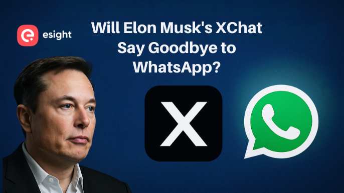 Elon Musk's X chat