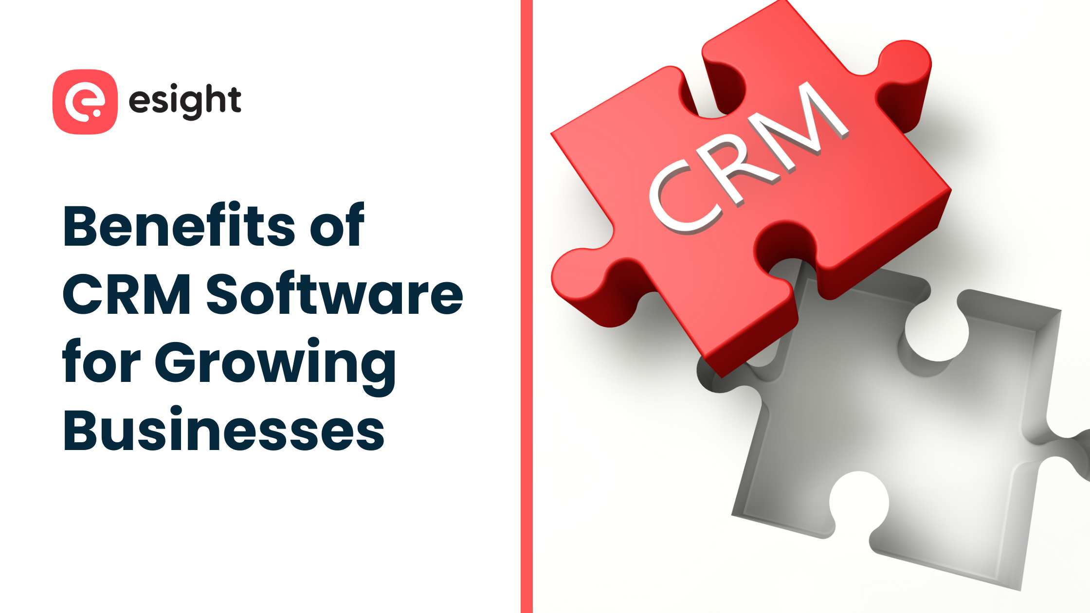 CRM Software Development Company in Kochi
