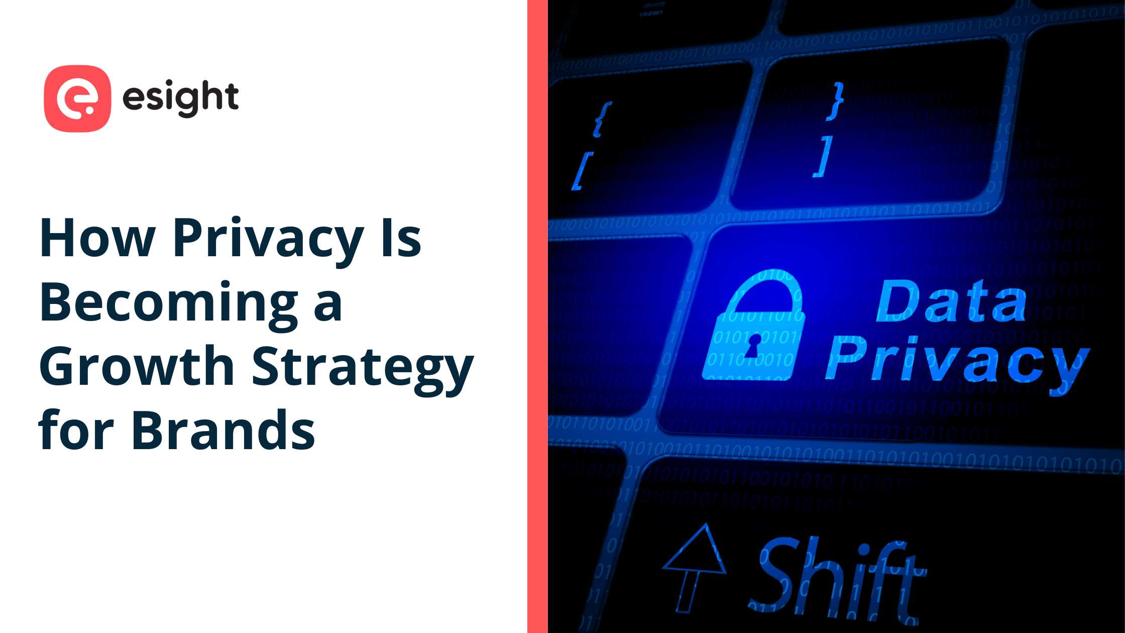 Illustration showing “How Privacy Is Becoming a Growth Strategy for Brands” with Esight branding, featuring a digital privacy concept, lock icon, binary code, and cybersecurity-themed visuals.