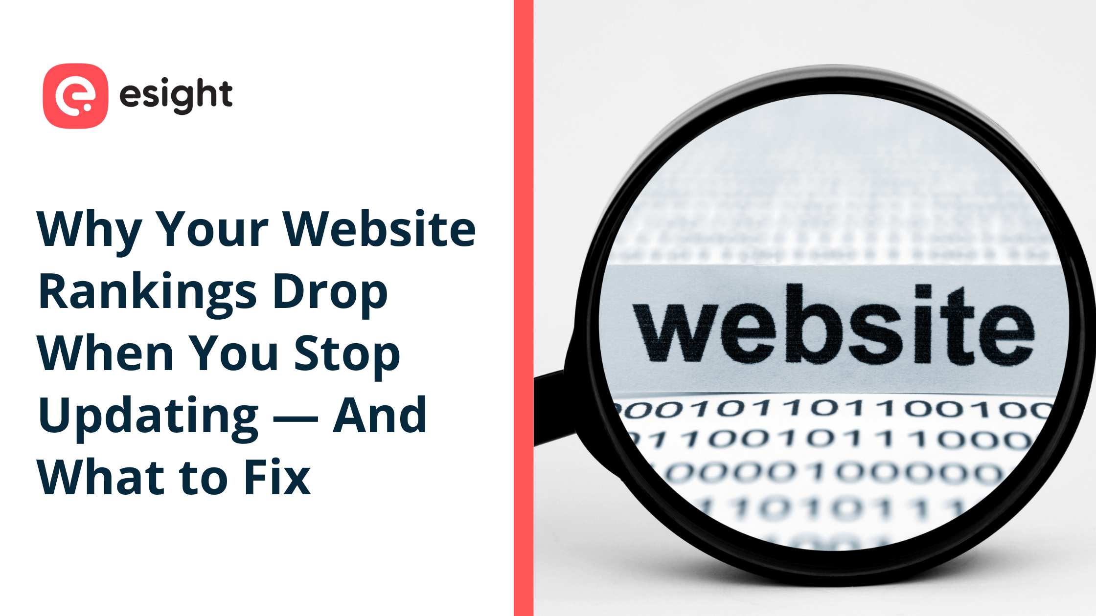 Website SEO concept showing a magnifying glass focusing on the word "website" alongside the headline "Why Your Website Rankings Drop When You Stop Updating — And What to Fix" by Esight.
